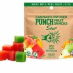 Sour Fruit Snacks